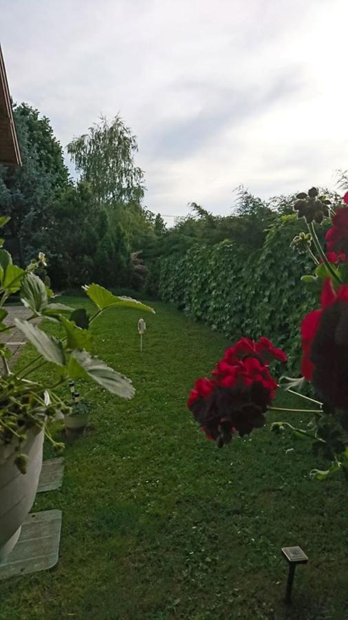 Liliana Vendeghaz Lägenhet Balatonfůzfő Exteriör bild